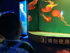 -厦门海底世界