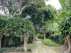 -中国科学院西双版纳热带植物园