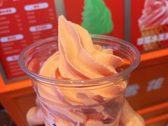 -萨朗刀克冰淇淋雪花凉(植物园店)
