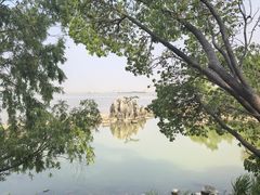 -吴淞炮台湾湿地森林公园烧烤区
