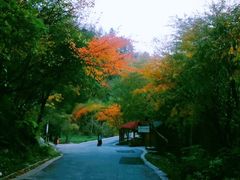 -叠溪松坪沟景区