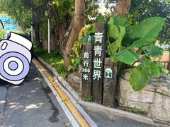 -青青世界
