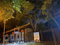 -镇江市南山风景名胜区竹林景区