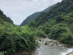 -龙窝子