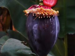 -鱼桥巷·美学川菜