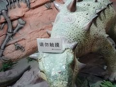 -河南自然博物馆