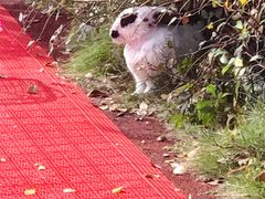 -杭州城北体育公园