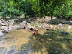 -广州白江湖森林公园