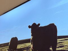 -牛扒先生·厚切雪花牛扒西餐厅(北京路禺山路店)