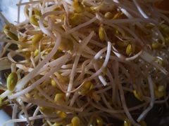 -铜元老码头鳝鱼火锅