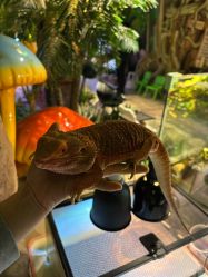 -酷嗒动物文化乐园(cutezoo西溪乐天城店)