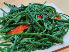佛手瓜苗-粤北餐馆