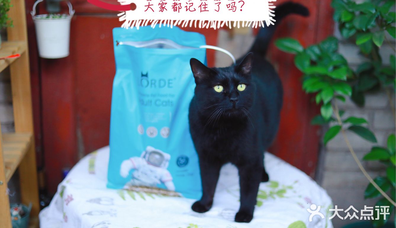🐈养宠科普 | 国产网红猫粮评测报告！