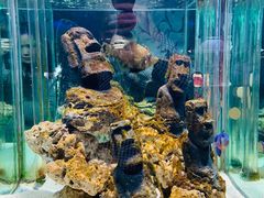 -太平洋海底世界