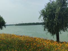 -漕湖湿地公园