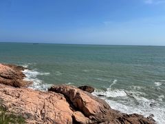 -广东惠东海龟国家级自然保护区