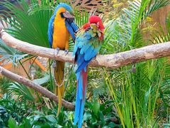 -杭州开元森泊度假乐园