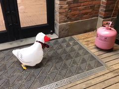 -锅炉咖啡