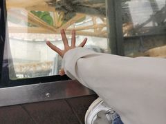 -影汇之星8字形摩天轮