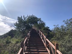 -大岭沟猕猴桃谷风景区