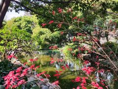 -成都市活水公园