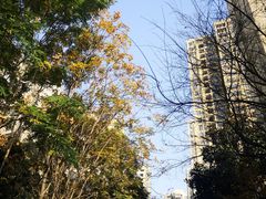 -天鹅湖体育公园