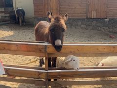 -HERRE·FARM 赫尔露营农场·团建聚会包场