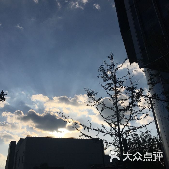 李锦记大厦-图片-上海生活服务-大众点评网