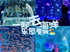 -海合安成都极地海洋公园