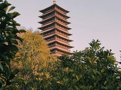 -牛首山文化旅游区