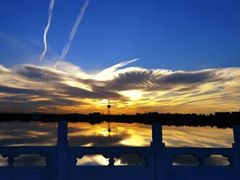 -大兴滨河森林公园