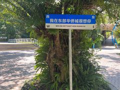 -东部华侨城