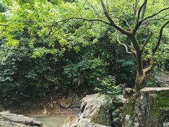 -浙北大峡谷
