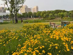 -南翔镇银翔湖公园