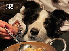 -毛辣果·酸(OHA复兴西路店)