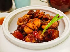 -蝶园·装修中(BFC外滩金融中心店)