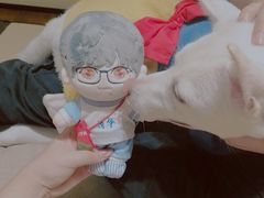 -逗柴咖啡屋·狗咖猫咖宠物桌游