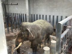 -济南野生动物世界