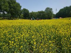 -长白岛森林公园