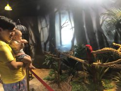 -酷嗒动物文化乐园(cutezoo西溪乐天城店)