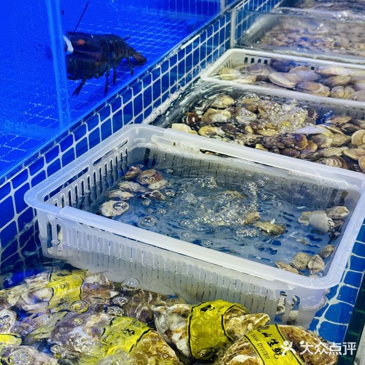 香港闺蜜来深直奔这里吃海鲜🦞性价比简直了！