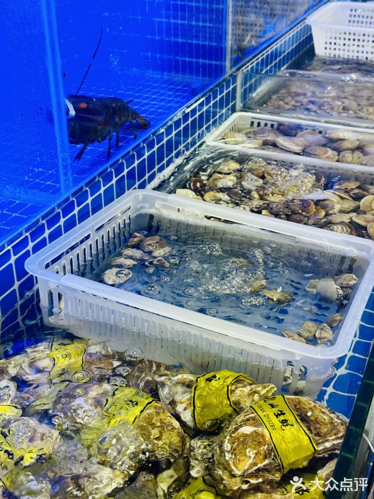 香港闺蜜来深直奔这里吃海鲜🦞性价比简直了！