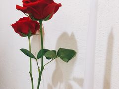 -伊斯坦布尔土耳其清真咖啡餐厅