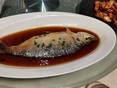 东星斑-喜来登由由大酒店九州膳坊中餐厅