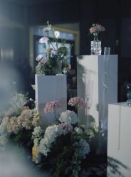 -HELLO你好婚礼婚庆策划