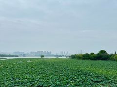 -云龙湖旅游景区