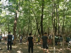 -亲兄弟真人CS团建拓展基地