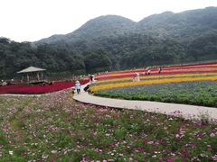 -广州市石门国家森林公园