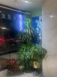 -木北护肤造型