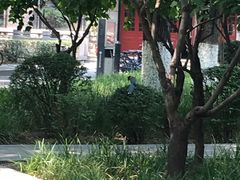 -山东大学(洪家楼校区)